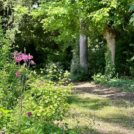Les Jardins De L'Hermitage Cellettes  Exterior photo